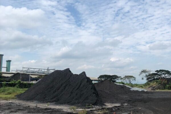 Galeri Coal (17)
